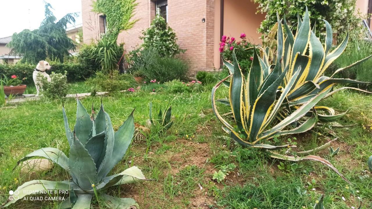 Casa Vincenzo 130 Mq Con Portico Ed Ingresso Esclusivo Dal Giardino Vila Felino Exterior foto