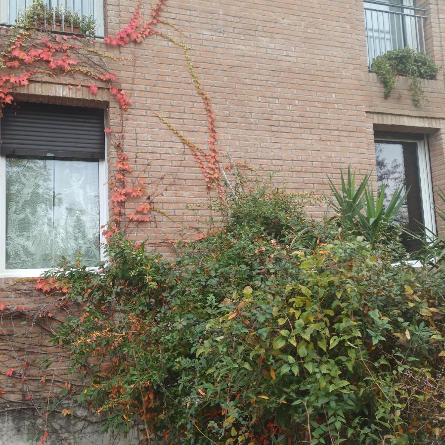 Casa Vincenzo 130 Mq Con Portico Ed Ingresso Esclusivo Dal Giardino Vila Felino Exterior foto