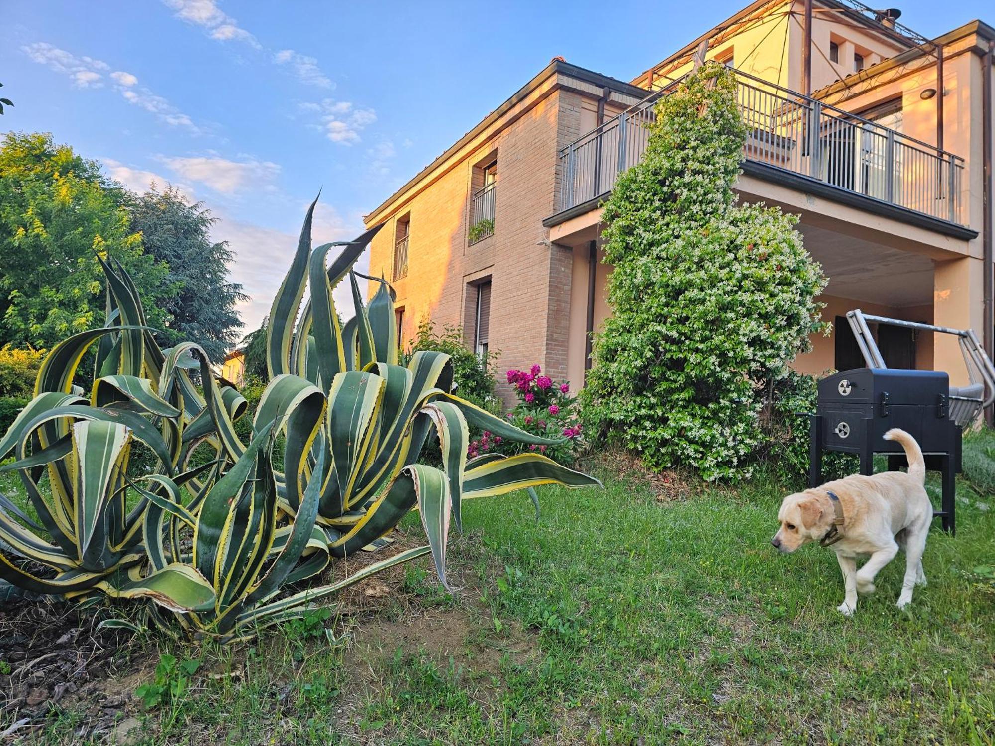 Casa Vincenzo 130 Mq Con Portico Ed Ingresso Esclusivo Dal Giardino Vila Felino Exterior foto